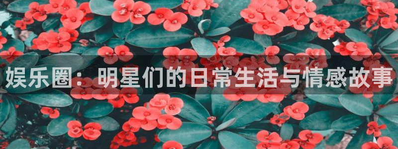 美狮贵宾会092268最新消息官网