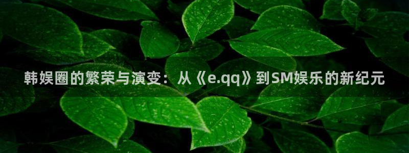美狮贵宾会官方网下载