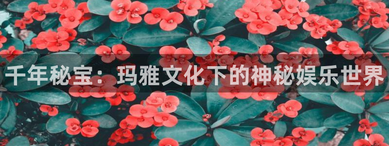 美狮贵宾会0924455