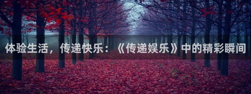 美狮贵宾会ms092021