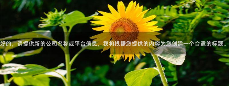 美狮贵宾会会员登录
