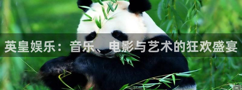美狮贵宾会线路检测