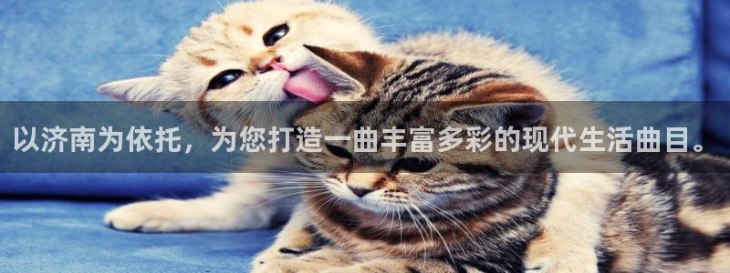 ms美狮贵宾会